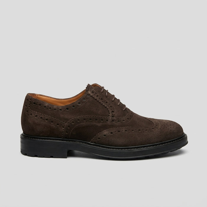 SAXONE Derby uomo in camoscio marrone scuro